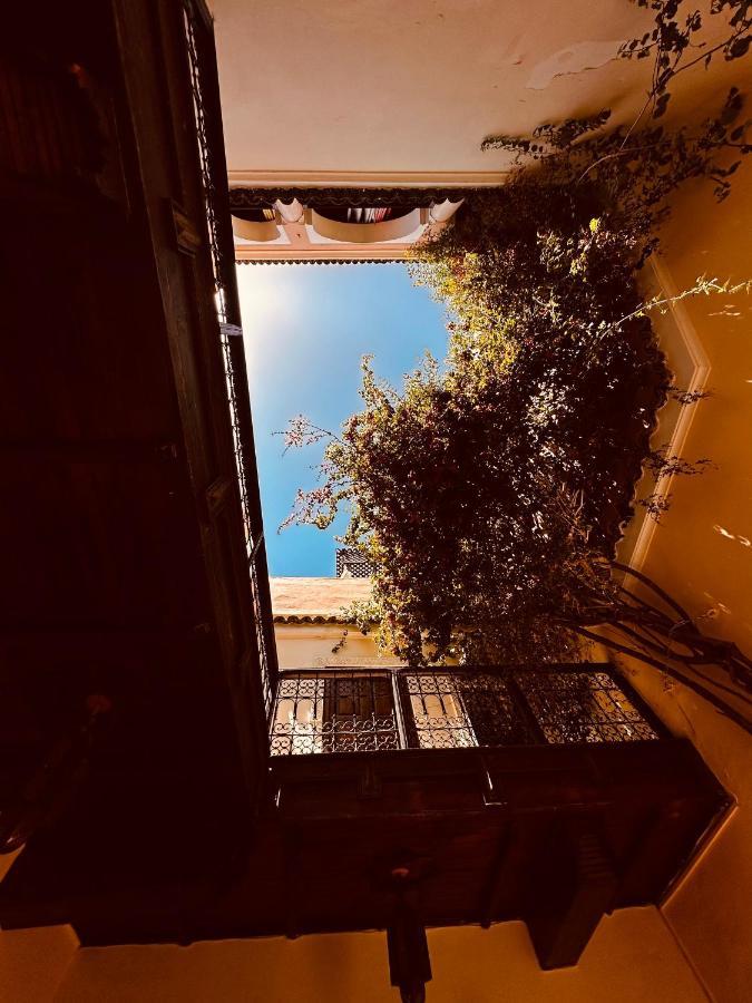 מרקש Riad Msholidays Bassin Privatise Marrakech מראה חיצוני תמונה
